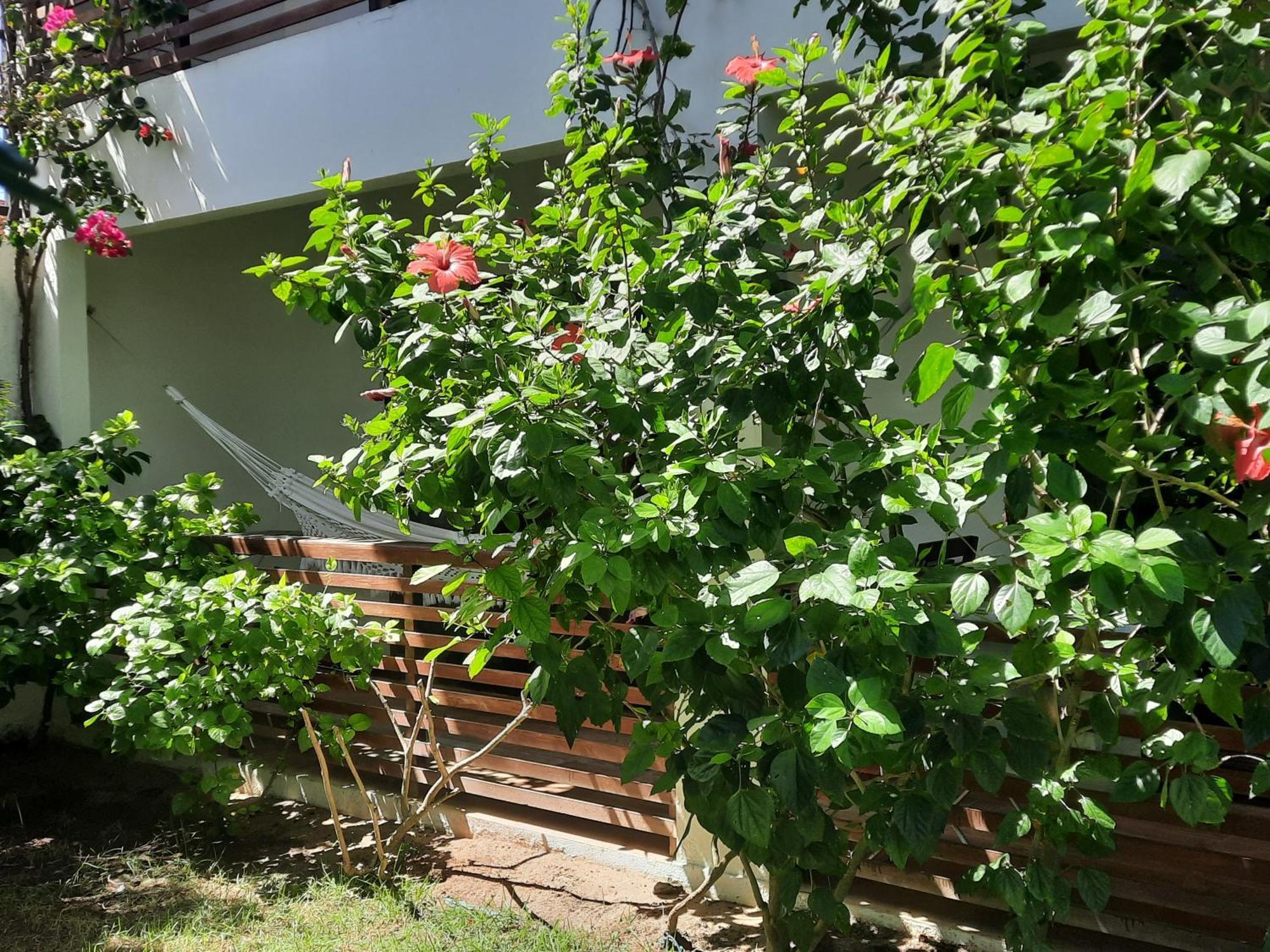 Vila Casa Betti Jijoca de Jericoacoara Exteriér fotografie